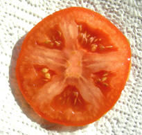 Une tranche de tomate : une belle approximation d'un pentagone rgulier inscrit !
